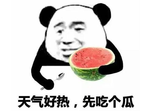 吃瓜表情包可爱,吃瓜表情包的可爱魅力